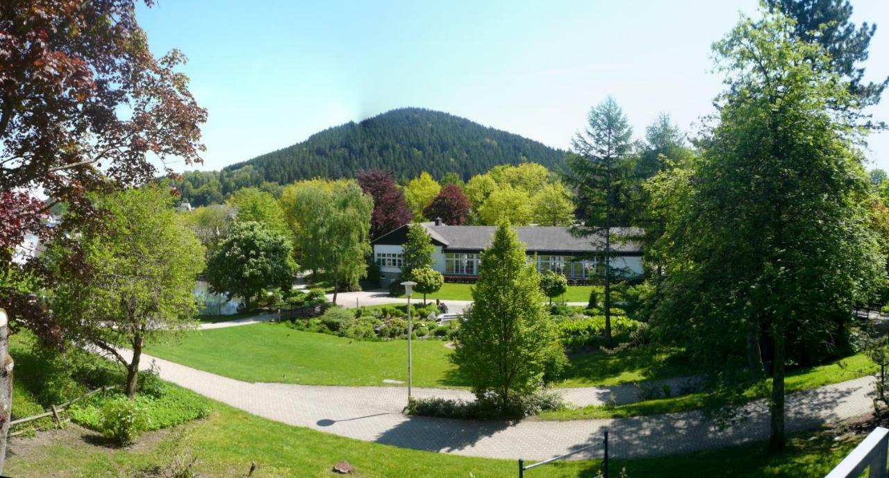 Fewo E Am Kurpark Willingen  Extérieur photo